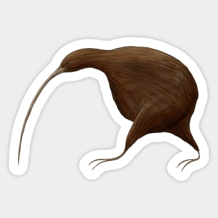 Its a Kiwi Sticker